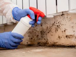 Best Mold Odor Removal Services  in South Huntington, NY